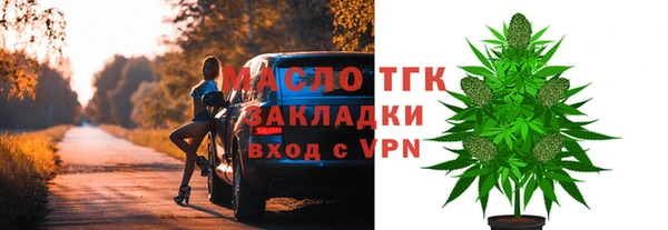 твердый Заводоуковск