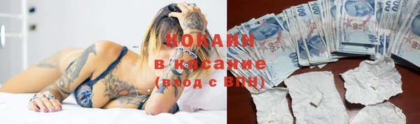 Альфа ПВП Новозыбков