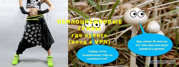 прущая мука Новодвинск